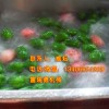 蔬菜清洗線|凈菜加工設(shè)備|哪家好？|諸城市食品機(jī)械