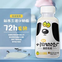 團友小奶狗風味乳酸菌網(wǎng)紅低脂肪飲品